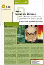 BINE Informationsdienst
